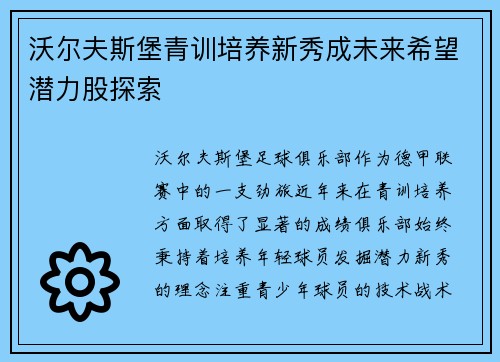 沃尔夫斯堡青训培养新秀成未来希望潜力股探索
